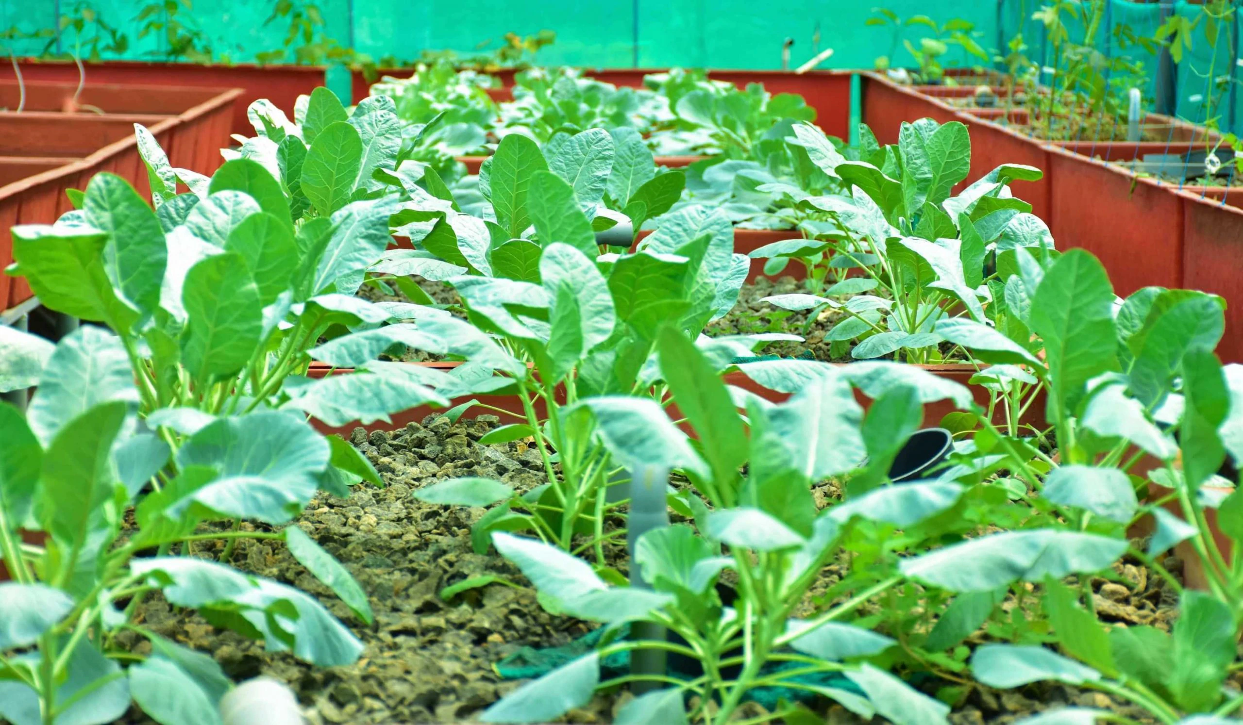 Smart farming