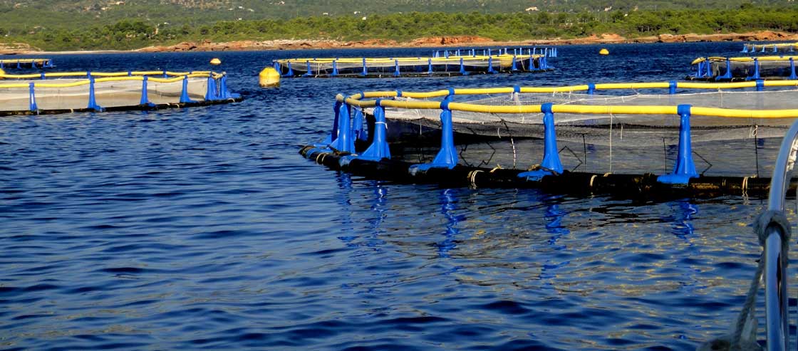Aeration Controllers