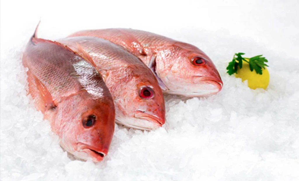 Aquatic Produce