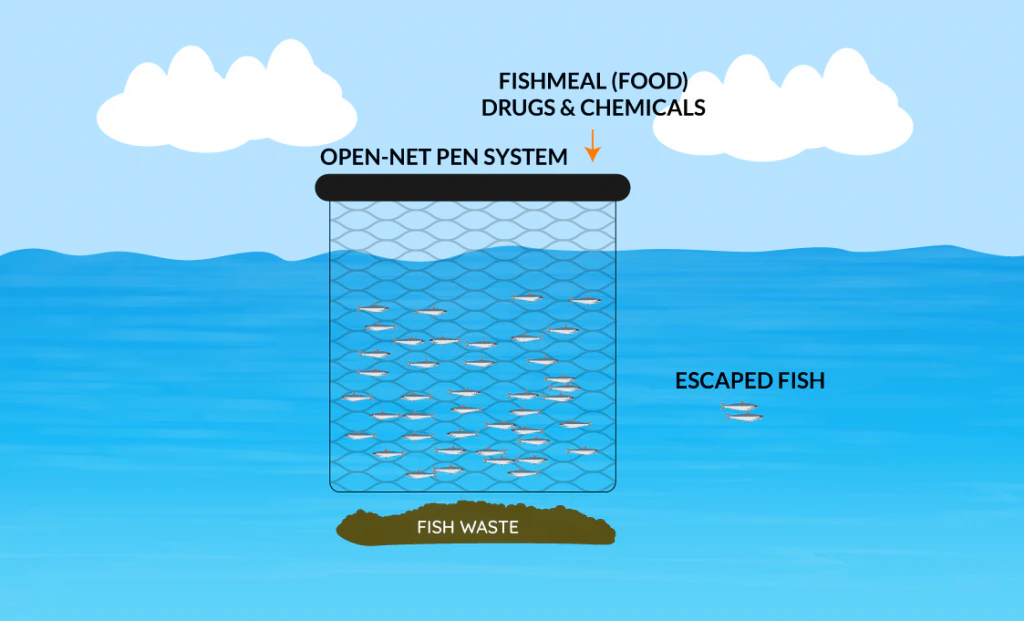 Fish waste