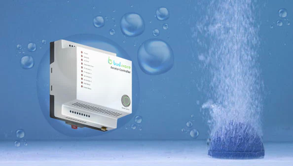 Process page products 2
