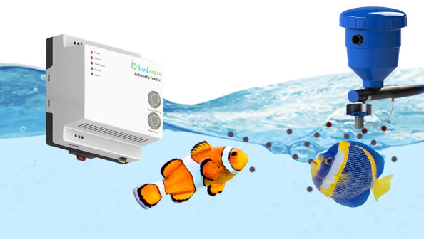 Process page products 4