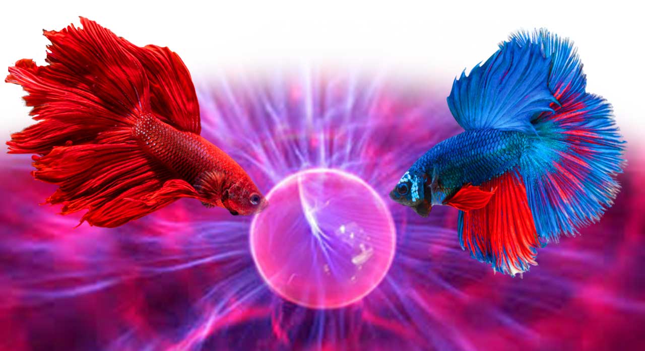 Plasma Aquaculture