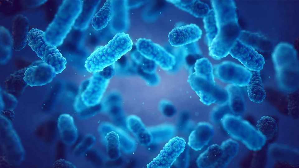 Disinfection Methods in Aquaculture