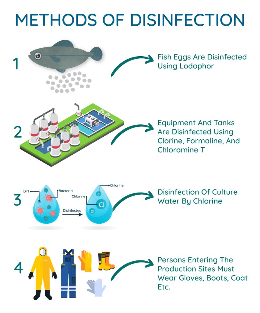 Disinfection blog