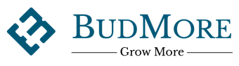 BUDMOREf